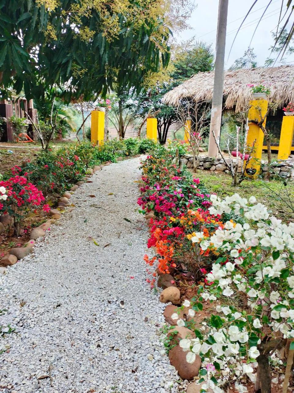 Mai Chau Onsen Retreat Hotel Kültér fotó