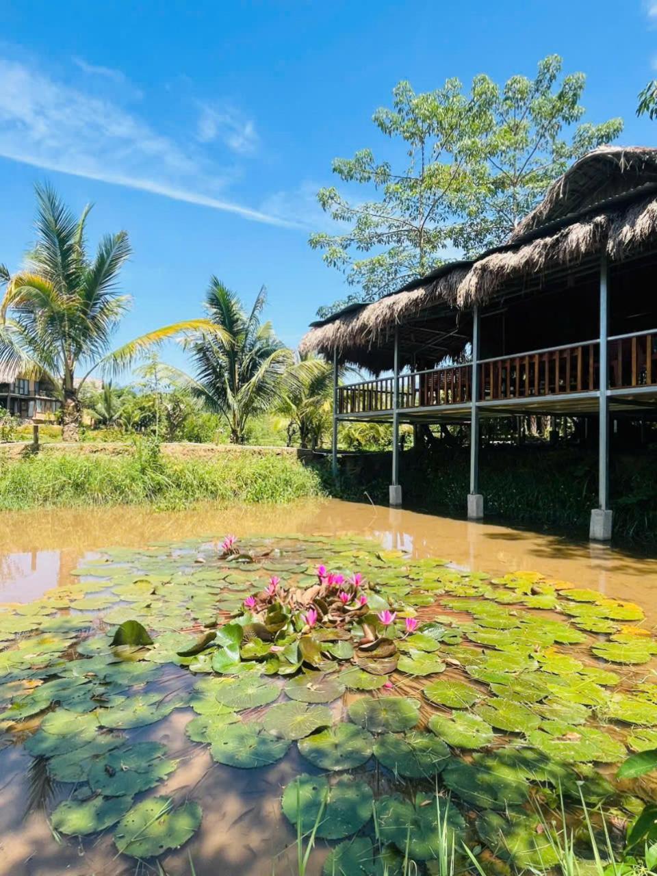 Mai Chau Onsen Retreat Hotel Kültér fotó